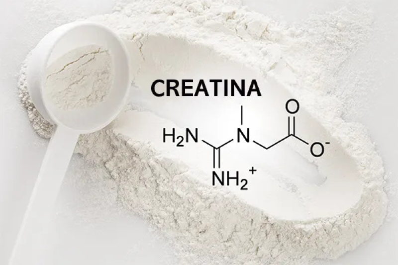 Creatina: para que serve e como tomar